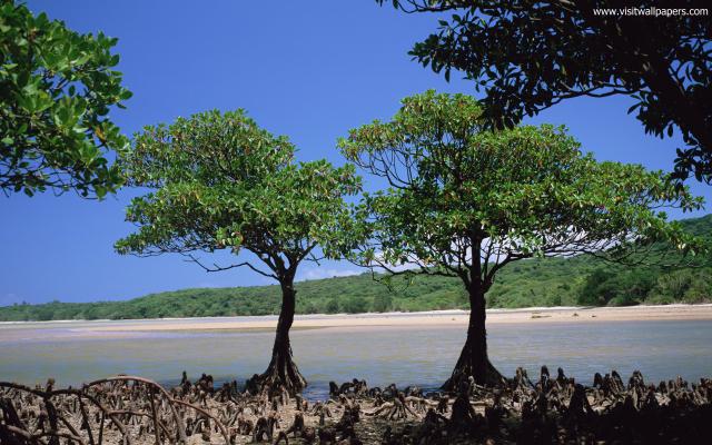 Beaches_007