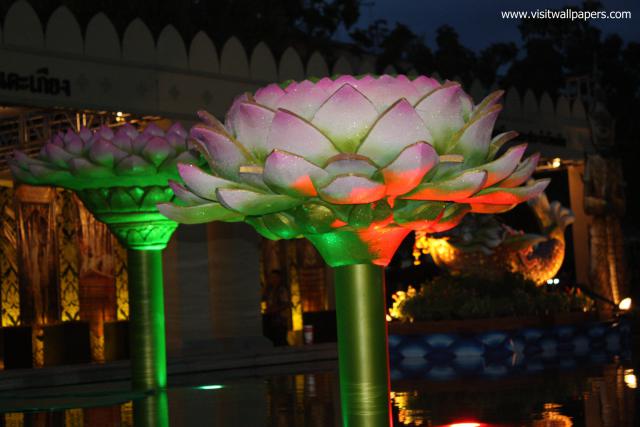 Candle_Festival_320