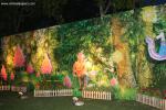 Candle_Festival_323