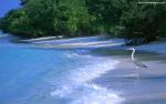 Beaches_043
