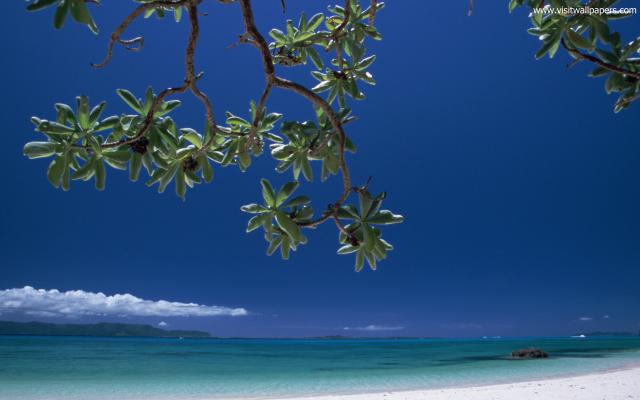 Beaches_049