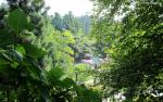 Nature_232