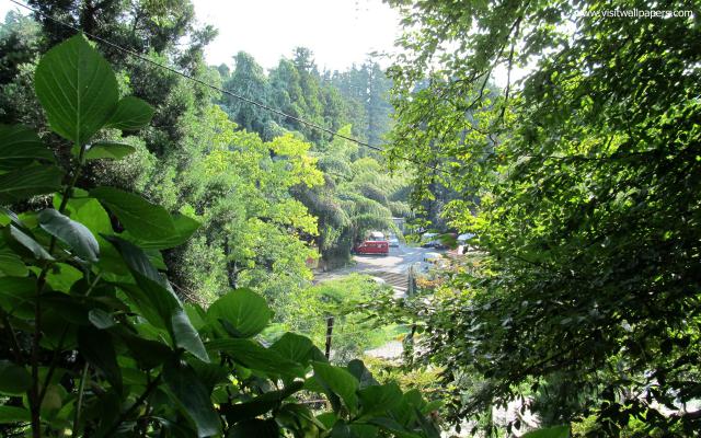 Nature_232
