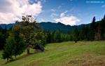 Nature_233