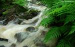 Nature_234