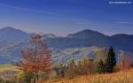 Nature_236