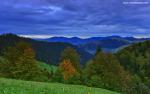 Nature_237