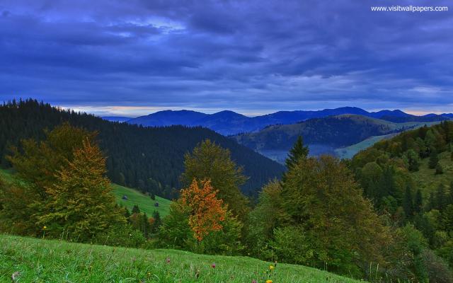 Nature_237