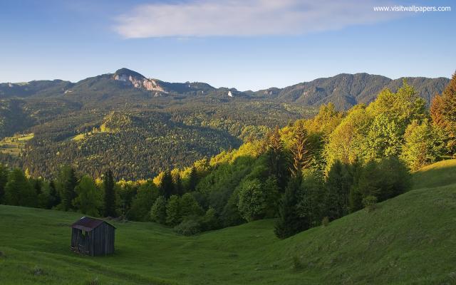 Nature_238