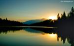 Nature_239
