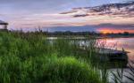 Nature_240