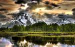 Nature_246