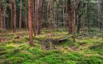 Nature_249