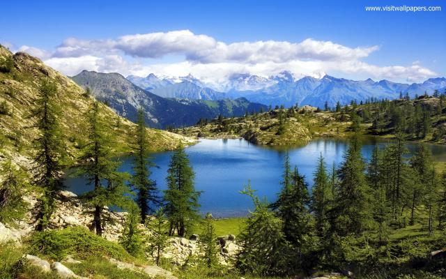 Nature_258