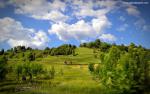 Nature_263