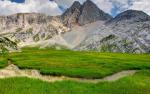 Nature_270