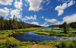 Nature_271
