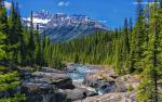Nature_272
