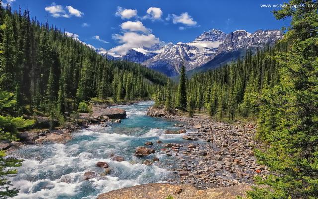 Nature_274