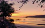 Nature_275