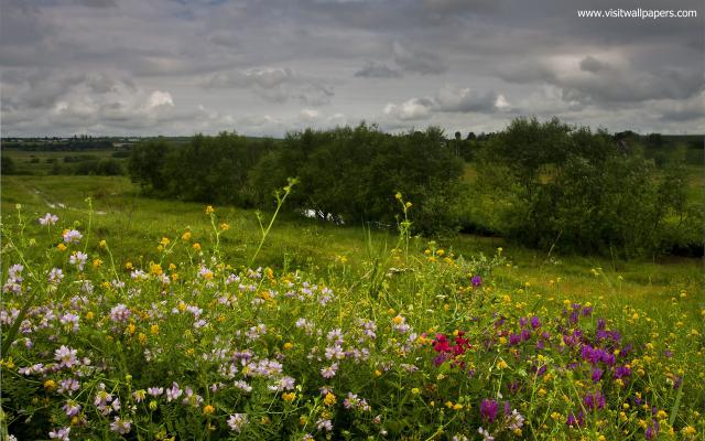 Nature_276