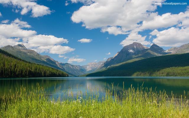 Nature_280