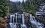 Nature_281