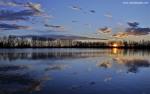 Nature_284