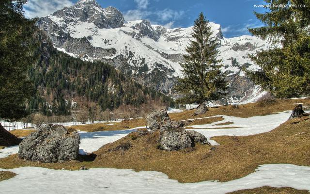 Nature_285
