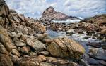 Nature_289