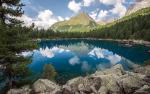 Nature_290