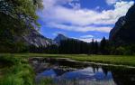 Nature_291
