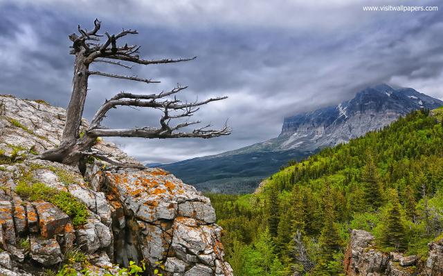 Nature_292
