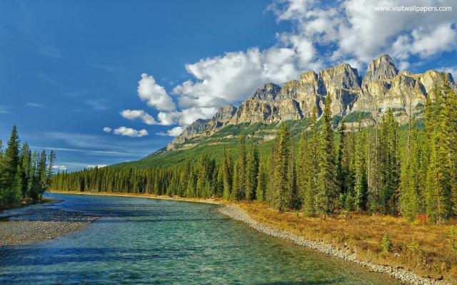 Nature_296