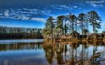 Nature_297