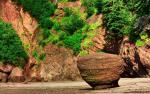 Nature_306