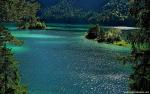 Nature_310