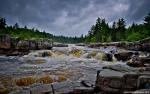 Nature_313