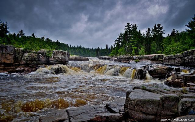 Nature_313