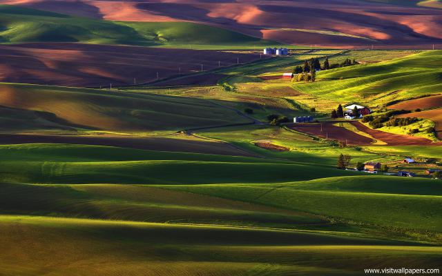 Nature_319