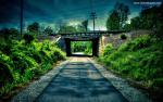 Nature_324