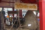 Candle_Festival_381