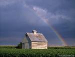 rainbow_32