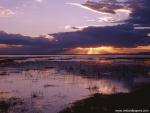 Parks_177