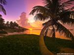 Parks_185