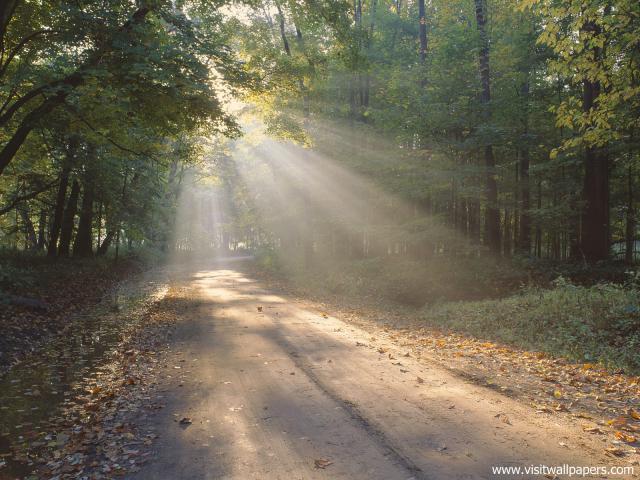 A_Guiding_Light