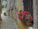 Cobblestone_Street_02