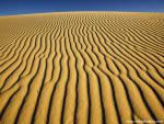 Desert_03
