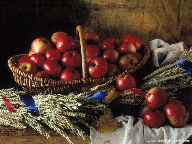 fruit_025