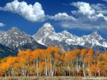 Parks_197